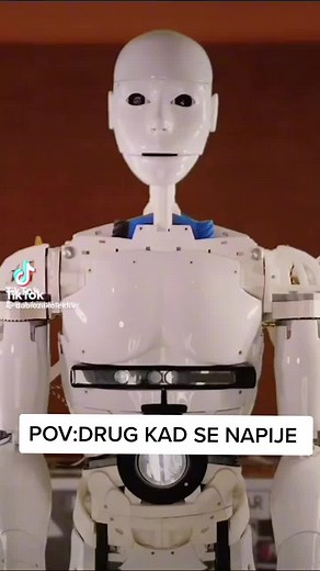 Exploring a Humanoid Robot Prototype