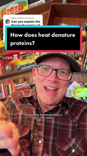 Understanding Heat Denaturation of Proteins: Explained by a Protein Jiggle