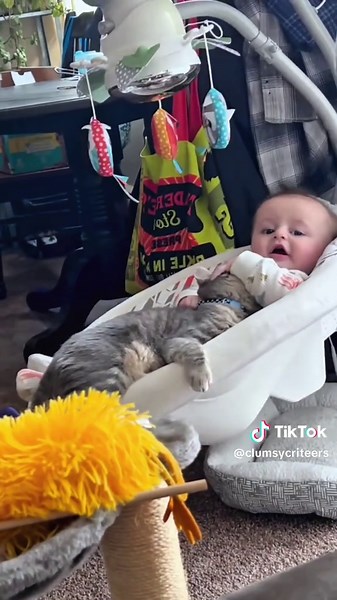 Cats and Babies: A Heartwarming Bond
