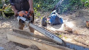 Unleashing Chainsaw Power for Efficient Palm Tree Cutting