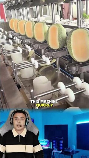 Automatic Mass Melon Peeling by Advanced Factory Machine