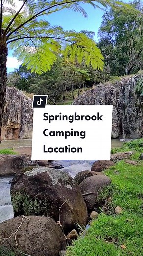 Natural Bridge Retreat Springbrook Camping: Brisbane Escape