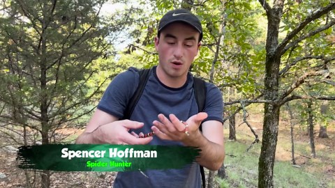 How a coral snake bite can turn fatal without immediate medical control