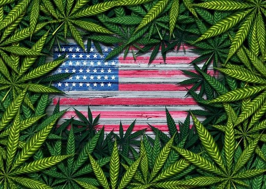 Where Is Cannabis Legal? A Guide To All 50 States