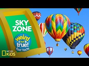 Sky Zone | Weird But True!—Fast Facts