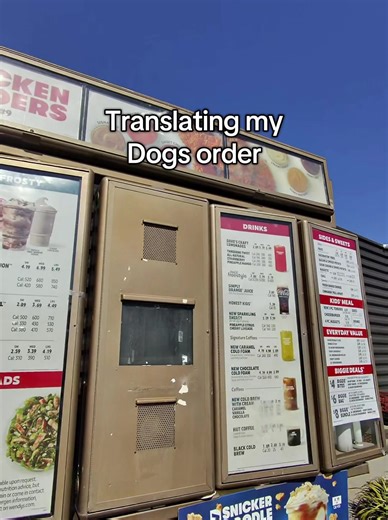 Translating dog kacchan BakuDeku 4 life #bark #dog #bakudeku #prank #cringe