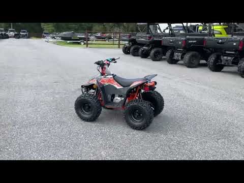 New 2025 Kayo Fox/Storm 70 ATV For Sale In Munford, AL