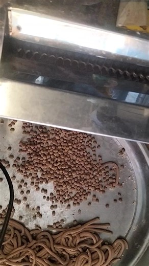 Tự làm trân châu | Yen Nhung