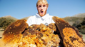 141K views · 2.9K reactions | Harvesting Honey From A Massive Beehive!  | Logan Paul | Facebook
