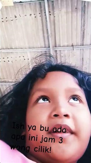 land for educational have ie u twin turbo Pascal!