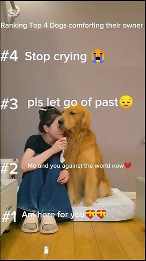 Top 4 Dogs comforting their sad owners-pure love moments❤️🐶#dogscomfortinghumans#emotionaldogmoments