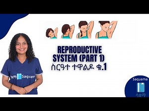 Grade 8 General Science Unit 4 Reproductive System (Part 1) | ስርዓተ ተዋልዶ ቁ.1 | ሳቋማ | Saquama