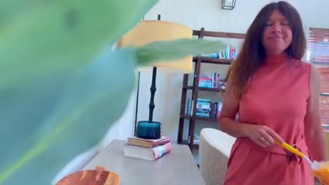 Duster Refills Compatible with Swiffer Duster, 360 Heavy Duty Multi Surface Duster Replacement with 1 Short Handle and 3FT Extenda Handle for Cleaning Furniture, Blind, Ceiling Fans Yellow-360-30pack