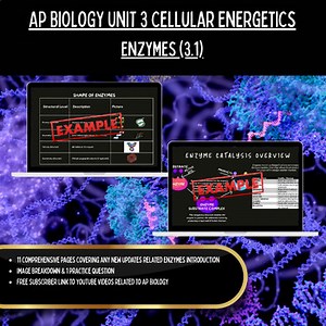 AP Biology UNIT 3 Cellular Energetics 3.1 Enzymes Lesson Guide