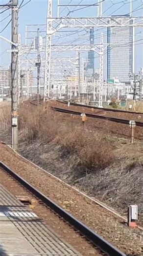 315系普通岐阜発車！C124