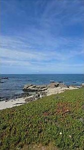 Monterey, CA| Coastal Bike Ride #bikeride #monterrey #coastalvibes #travel #vlog #shorts