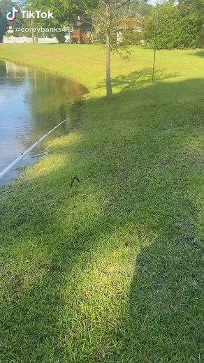 Reuploading. 1,000,000 views and I will go back and tell him stuff y’all tell me to say in comments! #fyp #foryou #foryoupage #fishing