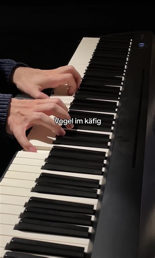 Attack on Titans-Vogel im käfig ✨ #vogelimkäfig #attackontitan #animefyp #animepiano #erenyaeger