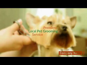 Mobile Dog & Cat Grooming Services Near Me | Order Custom video from Local Custom Videos