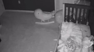 Parents say baby talks to GHOSTS as vid shows him shout at ‘spirit’