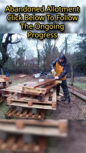 Massive Progress At The Abandoned Allotment