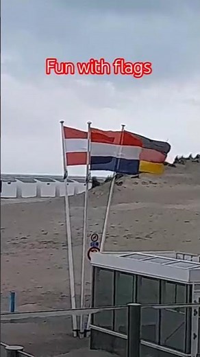 fun with flags