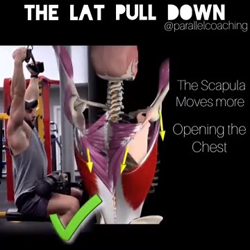 Lat Pull Down Technique: How to correct a client