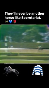 14 reactions | #horseracing #Secretariat #triplecrown #BelmontStakes #Kentucky #derby #kentuckyderby #RunForTheRoses | Secretariats lagacg | Facebook
