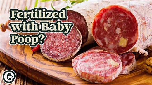 How Baby Poop Could Make Your Sausage Healthier