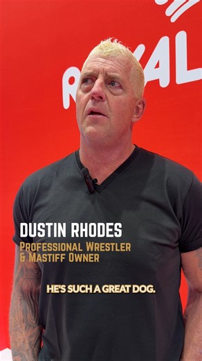 You will never forget the name of...Beast! Professional Wrestler Dustin Rhodes joined us at the #AKCNationalChampionship to cheer on his Mastiff named Beast. Watch Beast take the red carpet in the Working Group December 28th at 12 pm EST on ABC. | American Kennel Club
