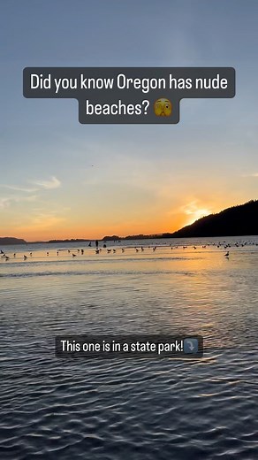 | PNW hiking camping & trips on Instagram: " Rooster Rock state park in Oregon has a nude beach! It’s off the far east end of the park so do your research and make sure you know before you go! Make sure you see the clothing optional sign before you know, dropping your swimsuit Parking lot can get full so get there early Day pass is 5$ Don’t forget your sunscreen! Would you go? #oregon #nudebeach #statepark #clothingoptional #spicy #sunset #columbiariver"