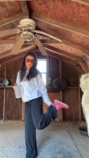 Why Donkeys Aren't the Best Guard Animals