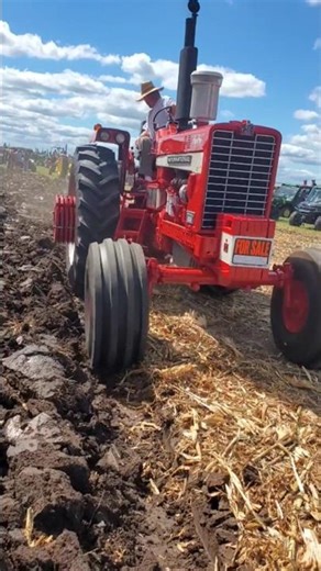 International Harvester Hydro 1026 Plowing at the Half Century of Progress Show '25 #farmlife #farm