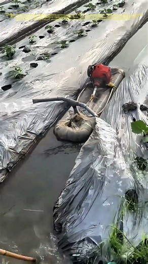 Harnessing Water: A DIY Irrigation Machine in Action: How Innovation Simplifies Farming