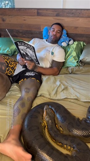 🐍 𝑾𝒐𝒓𝒍𝒅 𝒐𝒇 𝒔𝒏𝒂𝒌𝒆𝒔 🐍 | 🐍Green Anaconda 📹 by @therealtarzann . . ✅Follow @world_of_snakes_ for more ➖➖➖➖➖➖➖➖➖➖➖... | Instagram