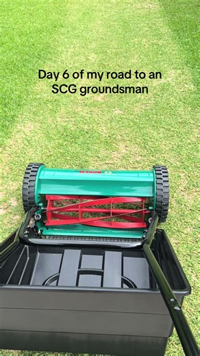 Cricket Pitch Making: Day 6 of SCG Groundsman Journey