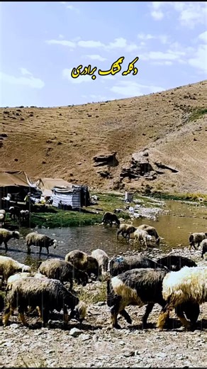 ‎ehsan:طبیعت گرد‎ on Instagram‎: "دکلمه زیبای برادری با صدای استاد قدرت جمالپور ،نمایی از زندگی عشایر بختیاری درکنار رودخانه شاهان کوه"‎
