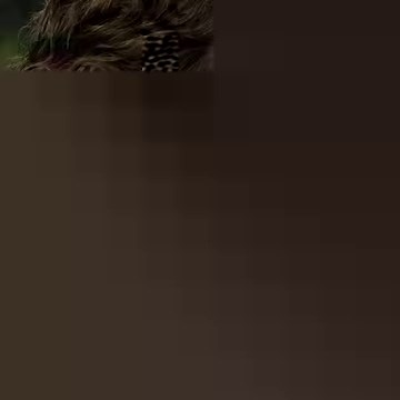 Dinna fash, we've got it covered. | Amazon Prime Video