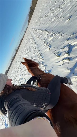 talia weiss 🐝 (@realtaliaweiss_)’s videos with original sound - talia weiss 🐝