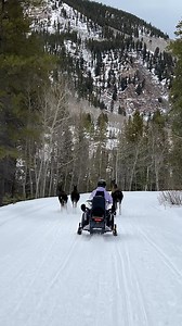 2.2K views · 8 comments | Moose encounter on the snowmobile trail. | Media Vault | Facebook