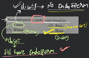 [Solved] Seed are found in : - Precalculus 10(Edition)... | Filo