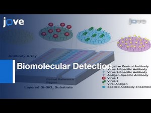 Biomolecular Detection: Employing Interferometric Reflectance Imaging Sensor l Protocol Preview