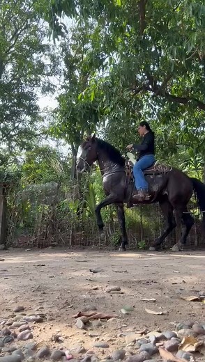 Vídeos de Ochoa (@99_________________) con «Tira Que Jala (Live) - Perdidos De Sinaloa & Grupo La Kaña»