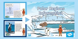 EYFS Polar Regions Information PowerPoint