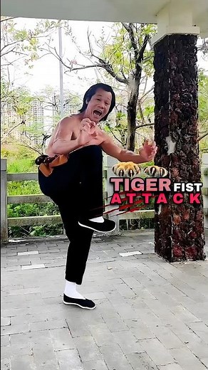 EAGLE CLAW Kicks / Claw Punches - Tiger-Fist Kung Fu Explosion 🐯🥋