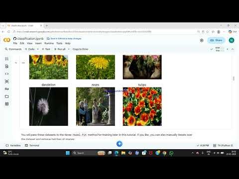 #imagecomics Classification using pre-trained model[keras](Co lab)|Hostbox cse