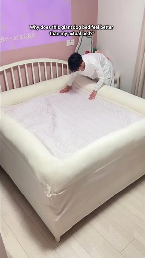 I Bought a Human-Sized Dog Bed… and Now I Never Leave It 🐶🛏️