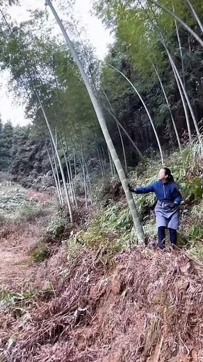 Self-made toothpaste#country