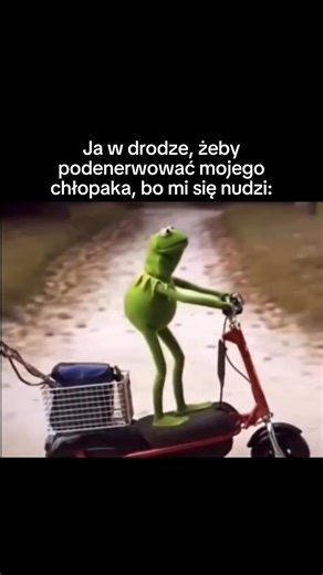 Dla niej i dla niego 💖 on Instagram: "Kermit Żaba zadebiutował w 1955 roku w programie Sam and Friends, ale co ciekawe, na początku wcale nie był żabą, lecz postacią przypominającą jaszczurkę! Pierwszy model Kermita został stworzony przez Jima Hensona z niebiesko-zielonego płaszcza sprężynowego jego matki, a za oczy posłużyły dwie połówki piłeczek pingpongowych. Kermit stał się sercem Ulicy Sezamkowej oraz gospodarzem The Muppet Show, a w 1970 roku jego piosenka „Bein' Green” stała się hymnem n