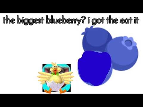 Feather Brain Blueberry inflation